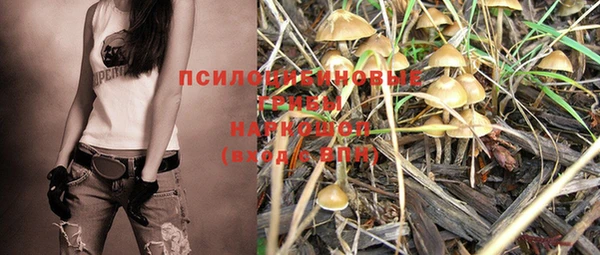 героин Богданович
